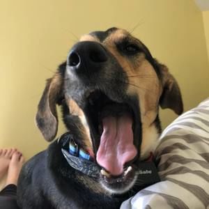 Meet your Posher, Cheryl